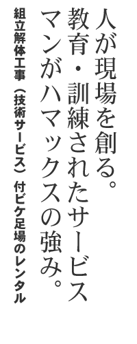 組立解体工事（技術サービス）付ビケ足場のレンタル